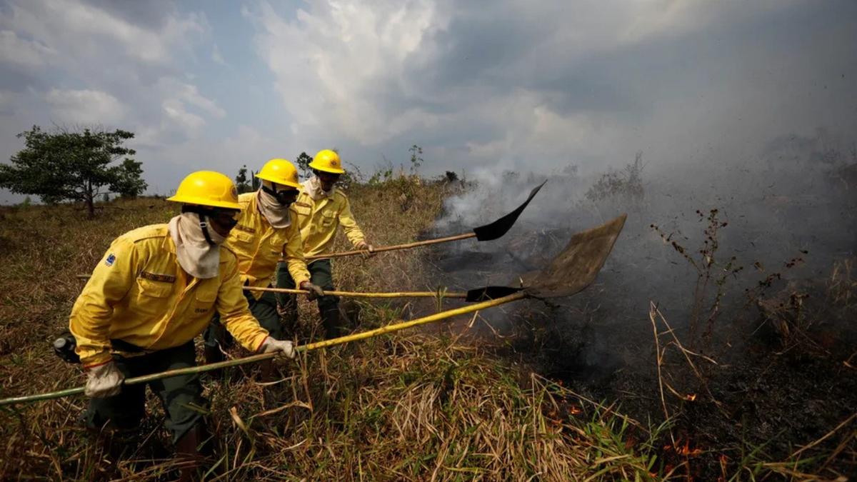 Polêmica sobre queimadas: Bombeiros do Amazonas e Governo Federal divergem sobre ajuda no combate ao fogo 1 design sem nome 72