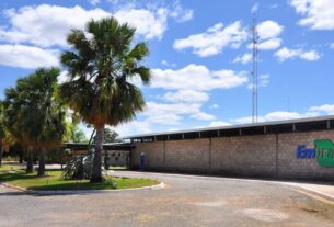 embrapa petrolina 1