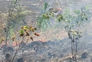 fogo atinge mata na comunidade japuarana em careiro da varzea foto alexandro pereira rede amazonica e1791581636212