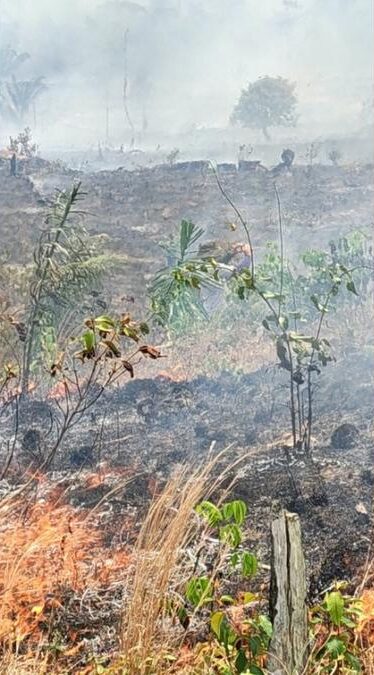 fogo atinge mata na comunidade japuarana em careiro da varzea foto alexandro pereira rede amazonica e1791581636212