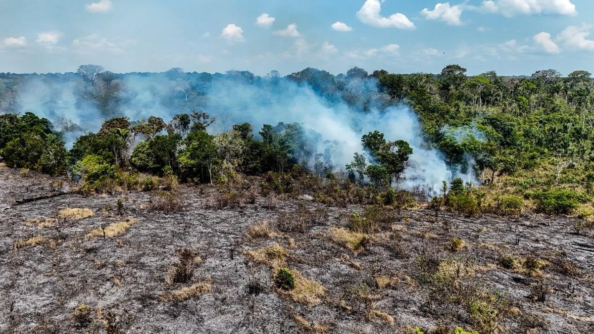 fogo continua ativo apos 17 dias e avanca para mata fechada em itacoatiara foto liam cavalcante rede amazonica