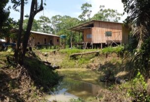 g1 terras caidas amazonas jh