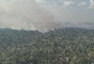 imagens aereas mostram a proporcao do incendio florestal registrado na am 254 em autazes na quinta 22 . fogo foi extinto foto reproducao rede amazonica
