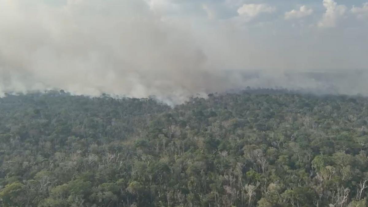 imagens aereas mostram a proporcao do incendio florestal registrado na am 254 em autazes na quinta 22 . fogo foi extinto foto reproducao rede amazonica