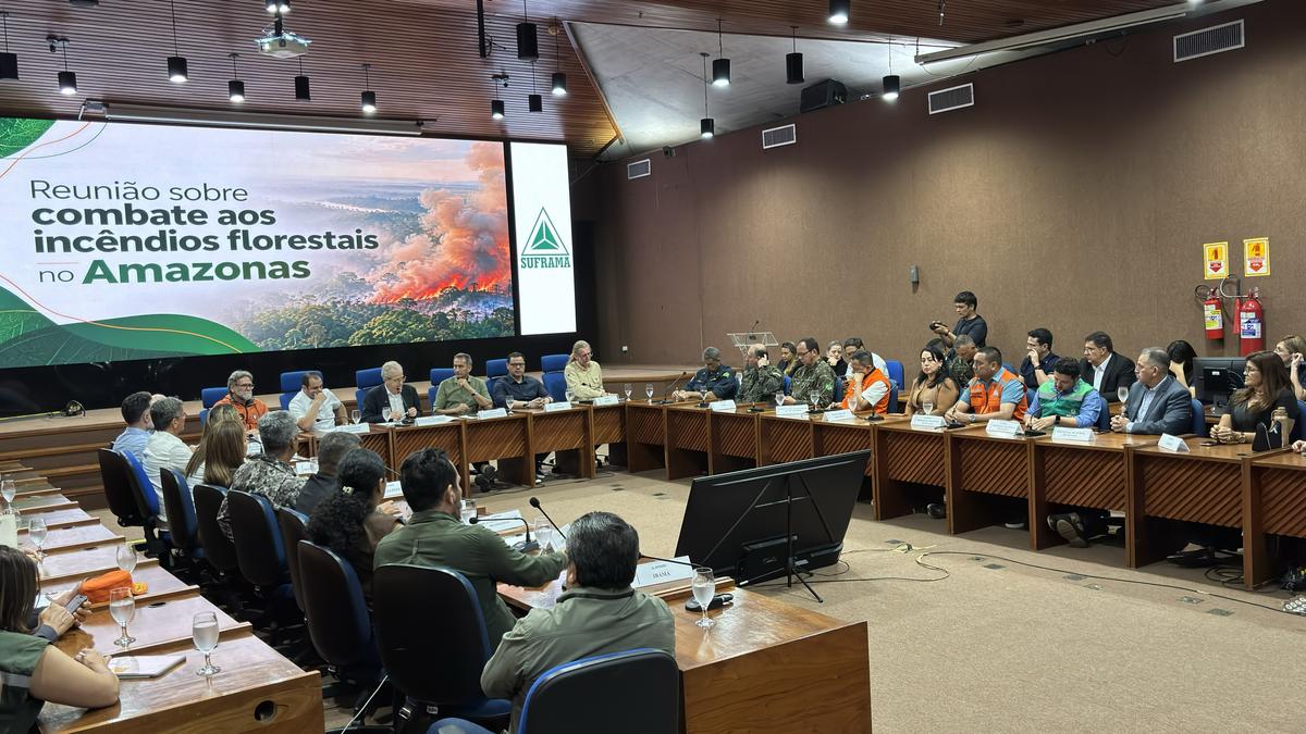Governo Federal e Estado unem forças em Manaus para conter avanço das queimadas 1 img 6478