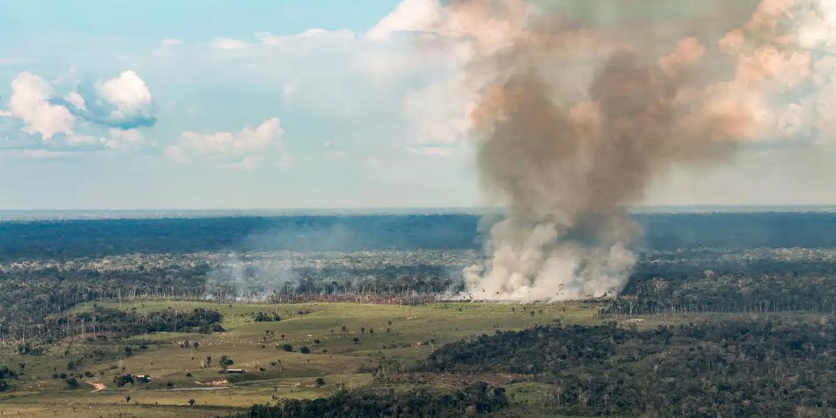 Cenário crítico: Queimadas no Pará elevam níveis de poluição e ameaçam o Amazonas 1 img 1103 3 1