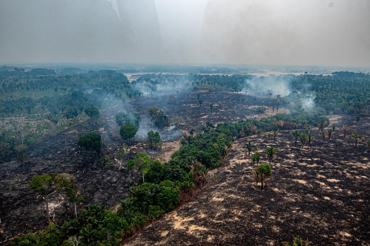 Fogo criminoso: 8 em cada 10 queimadas no Amazonas ocorrem em terras privadas 1 op amazonas 2026 305