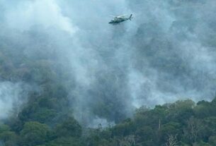 operacao do governo federal ja extinguiu 338 incendios e mobiliza 17 aeronaves foto fernando donasci mma