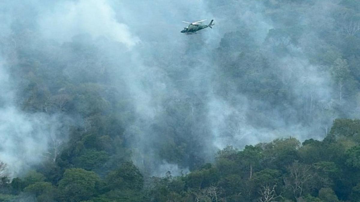 operacao do governo federal ja extinguiu 338 incendios e mobiliza 17 aeronaves foto fernando donasci mma