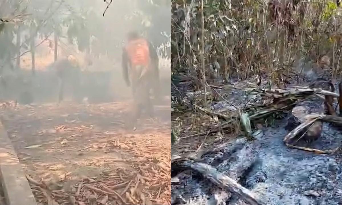 Queimadas em Parintins destroem lavouras e fazem preço da farinha disparar 1 plantacoes sao destruidas pelo fogo no amazonas