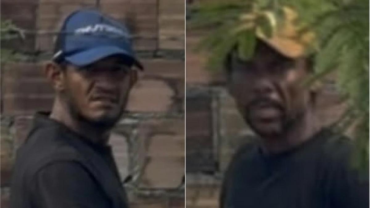 policia procura dois homens suspeitos de atear fogo em area de vegetacao em manaus fotos divulgacao pc am