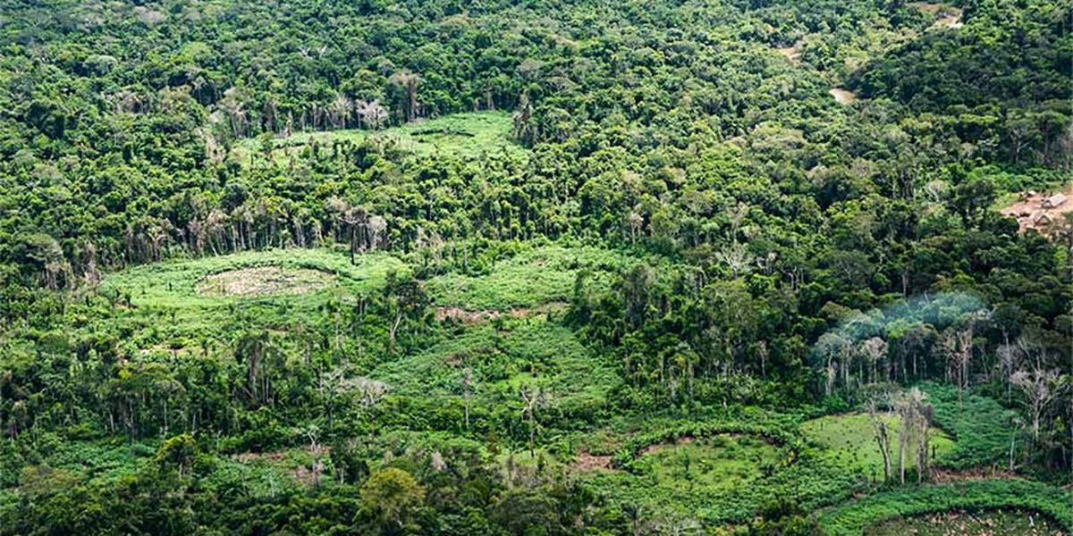 terra indigena ti panara na amazonia01
