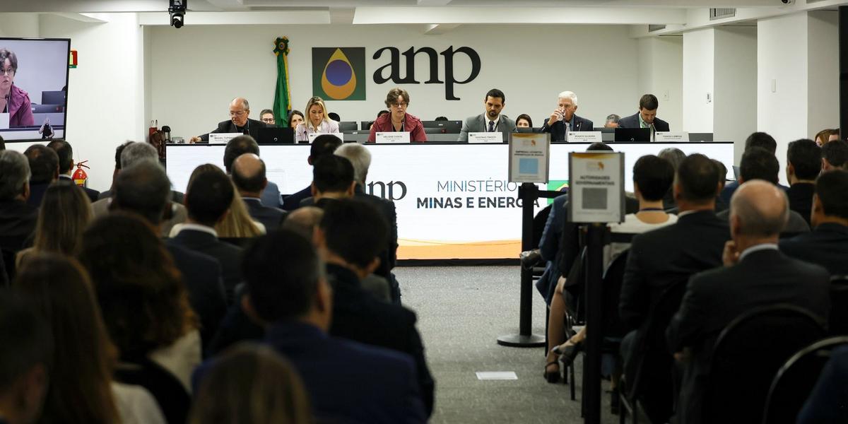 Leilão da ANP movimenta R$ 3 bilhões com venda de 49 blocos de exploração 1 toms4625