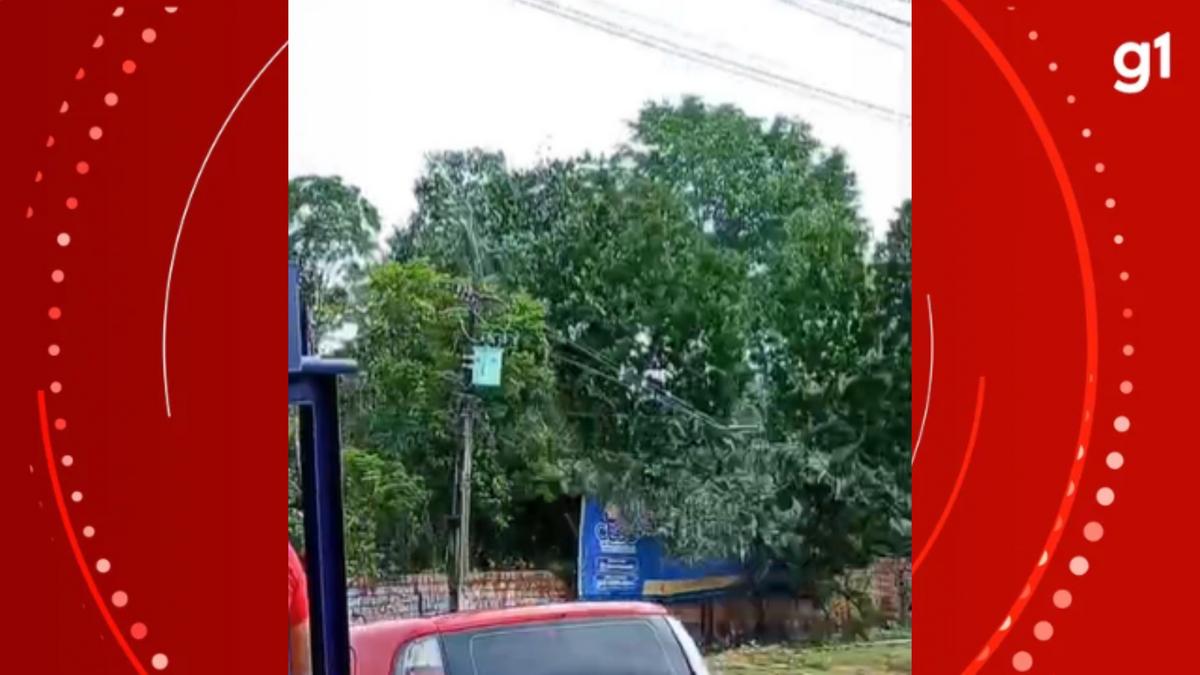 video mostra arvore caindo sobre fiacao em manaus motociclista e atingido foto reproducao redes sociais