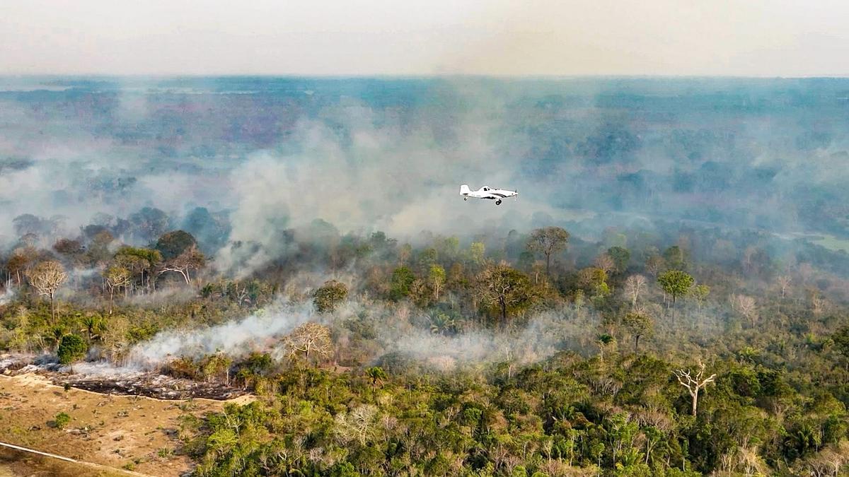 MPC-AM investiga aluguel milionário de avião 'ineficiente' para combater queimadas no Amazonas 1 whatsapp image 2026 10 07 at 20.25.33