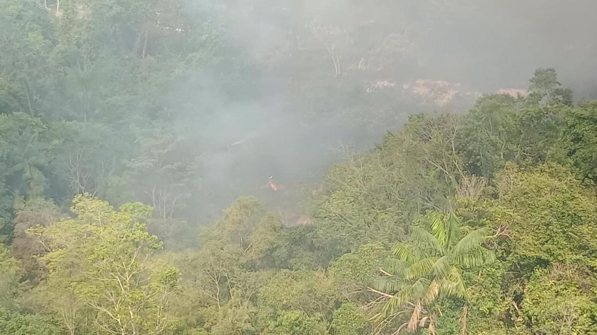 Fogo em vegetação mobiliza Bombeiros na Zona Norte de Manaus 1 whatsapp image 2026 10 09 at 15.29.46