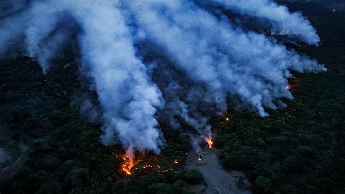 Queimadas no AM: Governo reforça investigação após flagrantes de ação criminosa na floresta 1 whatsapp image 2026 10 13 at 09.13.54